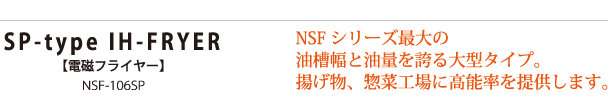 電磁フライヤーNSF-SP